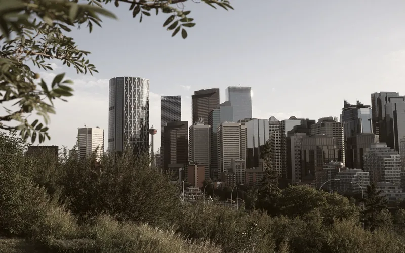 The Calgary skyline seen through trees